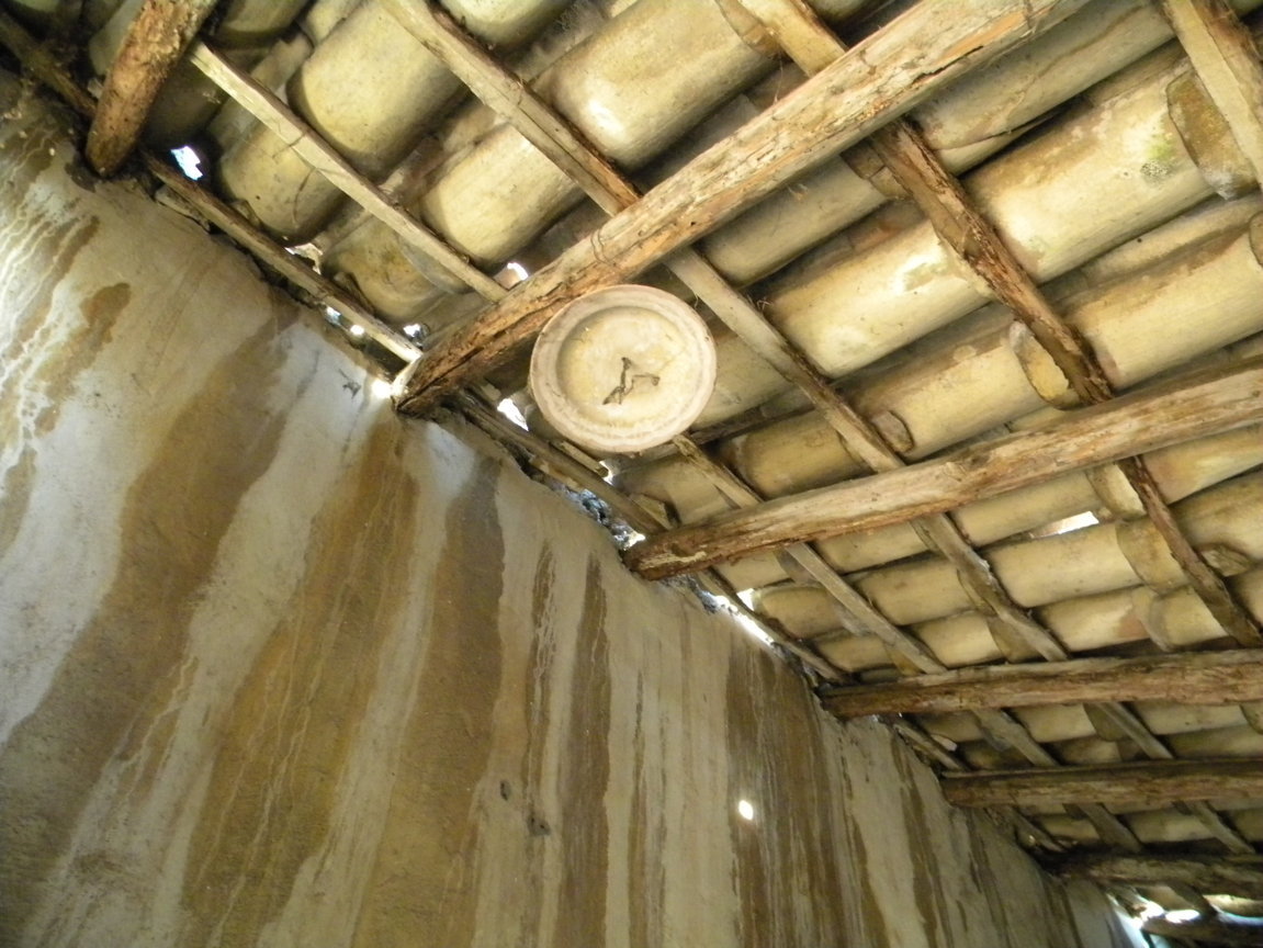 DSCN7999 .JPG